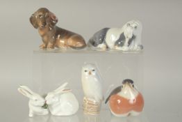FIVE COPENHAGEN PORCELAIN FIGURES: PONY, No. 4611, TWO RABBITS, No. 518, ROBIN No. 2251, DOG No.