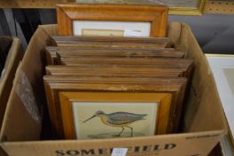 Six colour prints of birds together with a picture of a young girl.