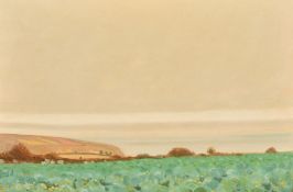 Robert Morson Hughes (1873-1953), a coastal view with wildflowers in the foreground, oil on board,