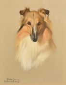 Phylis Binet, a pedigree Collie, 'Frisky', pastel, signed with initials, inscribed and dated, 18