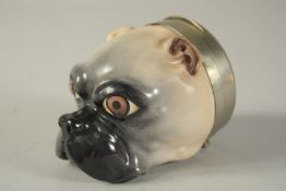 A CONTINENTAL PORCELAIN BOX AND COVER modelled as a pug dog, the lid with a scene after Murillo.