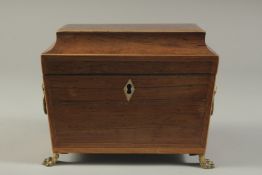 A REGENCY ROSEWOOD TWO DIVISION TEA CADDY with lion ring handles on claw feet. 7.5ins high.