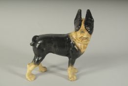 A CAST IRON BLACK & WHITE BULLDOG. 6ins.