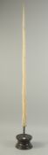 A VERY GOOD NARWHAL TUSK with sharp end. 109cm long, weight: 1200gms supported on a stand. With