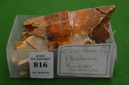 A small piece of fossilized cave bear rib.