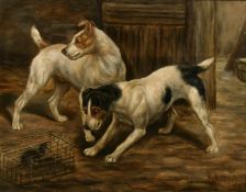Edward Aistrop (active 1880-1920), a pair of oil on board scenes of terriers in a barn, both signed,