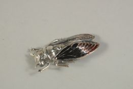 A SILVER AND ENAMEL DRAGONFLY BROOCH. 5cms.