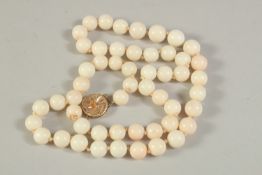 A STRING OF WHITE CORAL BEADS with 14ct gold clasp. 50cms long.