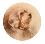 K. Mayer, study of a terrier, watercolour heightened with white, signed and dated 1910, 10.25