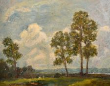 John Brown (20th Century), landscape view with trees and low cloud, oil on board, signed with