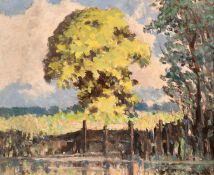 Hugh Boycott Brown (1909-1990), study of a mature tree in sunlight, oil on board, signed with