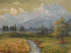 H. Gross (20th Century), alpine valley, possibly Switzerland, oil on canvas board, signed, 10