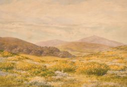 Walter H Chaplin (Exhibited late 19th Century), 'Moel Fammu, Wales', watercolour, signed, 9