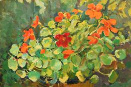 Natalia Zaruba (1915-2008), 'Nasturtium', oil on canvas, signed, 13