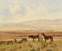 Walter Robin Jennings (1927-2005), horses in a landscape, oil on canvas, signed, 20