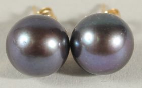A PAIR OF 9CT YELLOW GOLD STUDS SET WITH OBLATE SPHEROID BLACK CULTURED PEARLS, with reflections