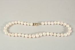 AN 18INS STRING OF WHITE FRESHWATER CULTURED PEARLS with a 9ct yellow gold ball clasp.