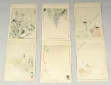 SEITEI WATANABE (1851-1918): FROM THE PICTURE ALBUM OF BIRDS AND FLOWERS, 1903; three original