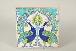 AN UNUSUAL 19TH CENTURY NORTH INDIAN MULTAN GLAZED POTTERY TILE, depicting two peacocks, 30cm x 30.