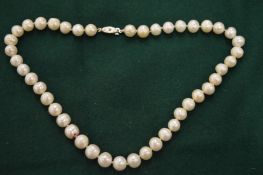 A good pearl necklace.