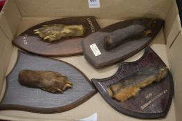Taxidermy, a group of four feet mounted on shield shaped plaques.