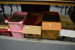 A quantity of books, most relating to birds and nature.