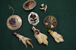 Scottish brooches.