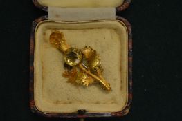 A decorative thistle brooch.