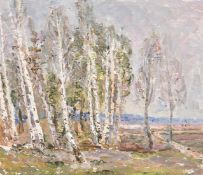 Vera Dovgalevskaya (b. 1916) Ukrainian, a view of birch trees in spring, oil on board, signed and
