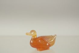 A TINY COLOURED AGATE DUCK. 3.5cms.
