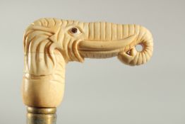 A WALKING STICK with a carved bone handle of an elephant.
