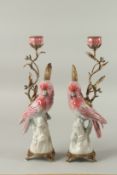 A PAIR OF CONTINENTAL PORCELAIN AND GILT METAL PINK PARROT CANDLESTICKS. 30cms high.