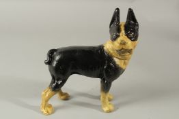 A BLACK AND WHITE CAST IRON BULL DOG. 20cms high.