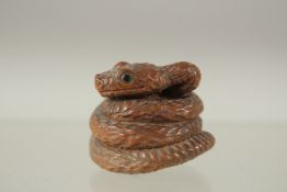 A JAPANESE CARVED WOOD SNAIL NETSUKE. 3cms. Signed.