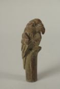 A BRONZE WALKING STICK HANDLE 'COCKATOO'.