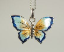 A VITREOUS ENAMEL AND SILVER BUTTERFLY PENDANT AND CAHIN.