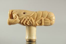 A WALKING STICK with a carved bone handle of a shrimp.