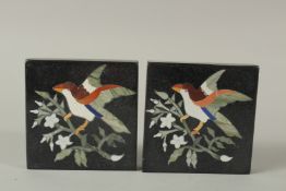 A PAIR OF PIETRA DURA SQUARE PLAQUES. 10cms.