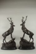 AFTER J. MOIGNIEZ. A GOOD PAIR OF STANDING STAGS on a rocky and marble base. 70cms high.