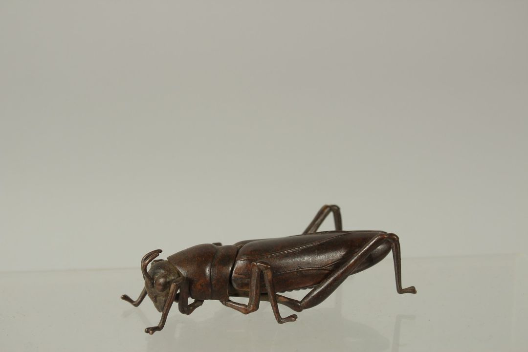 A BRONZE OKIMONO OF A GRASSHOPPER, 8.5cm long. - Image 2 of 3