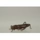 A BRONZE OKIMONO OF A GRASSHOPPER, 8.5cm long. - Image 2 of 3