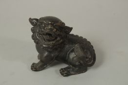A CHINESE MING STYLE TEMPLE LION, 8cm high.