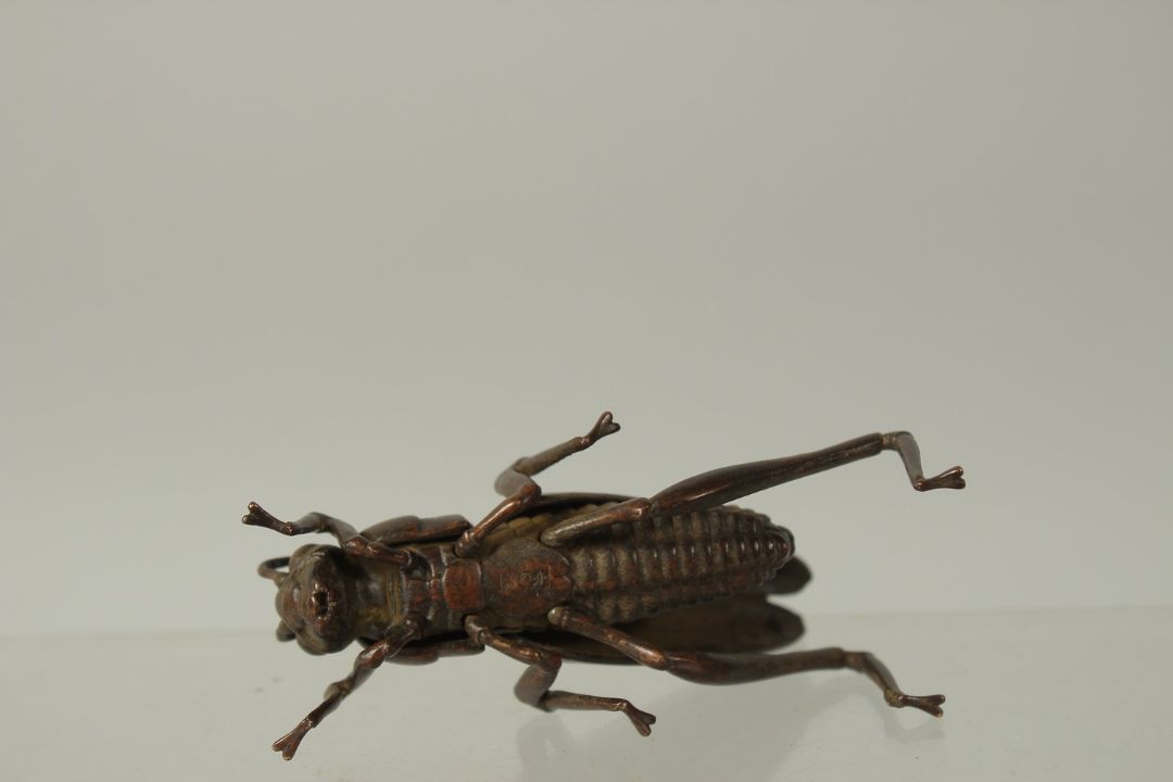 A BRONZE OKIMONO OF A GRASSHOPPER, 8.5cm long. - Image 3 of 3