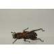 A BRONZE OKIMONO OF A GRASSHOPPER, 8.5cm long. - Image 3 of 3
