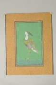 A 19TH-20TH CENTURY INDIAN SIGNED MINIATURE PAINTING OF A BIRD, 31cm x 24cm.