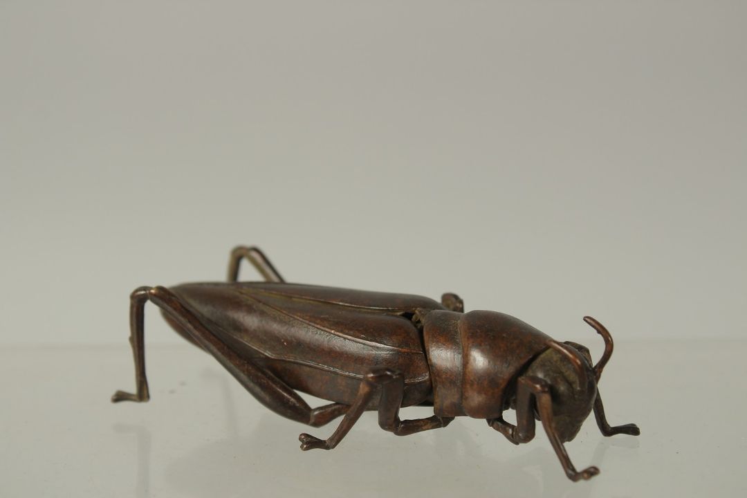A BRONZE OKIMONO OF A GRASSHOPPER, 8.5cm long. - Image 1 of 3