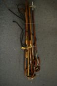Various walking sticks, shooting sticks and riding crops.