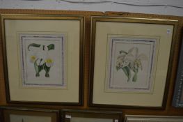 John Nugent Fitch, two hand coloured lithographs of irises.