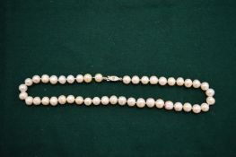 A pearl necklace.