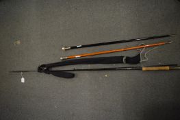 A fishing rod and two walking sticks.